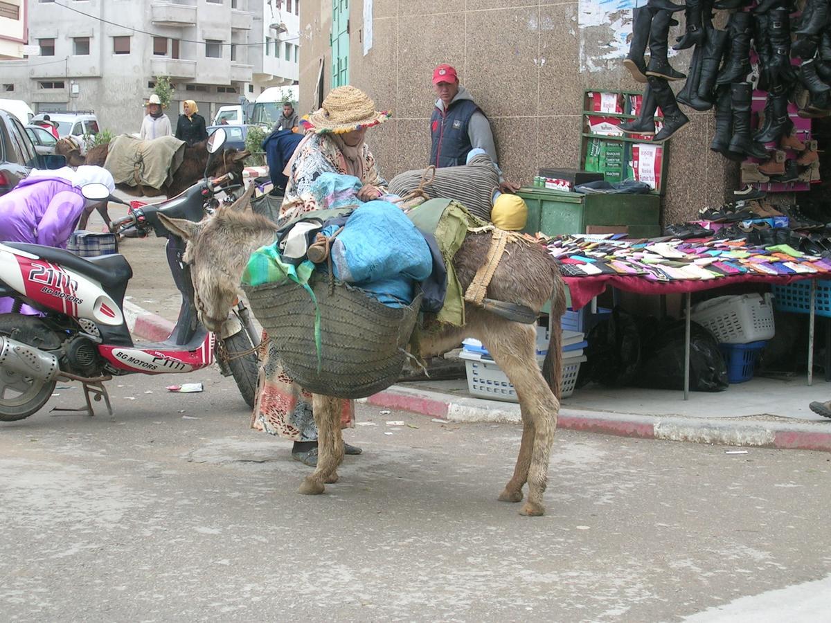 Villa Dar Es Salam-Alta Asilah Esterno foto